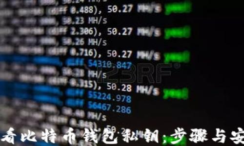 
如何查看比特币钱包私钥：步骤与安全指南