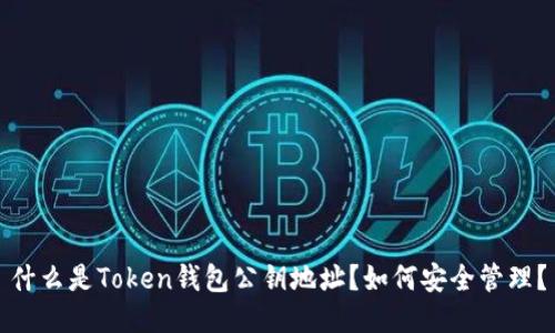 什么是Token钱包公钥地址？如何安全管理？