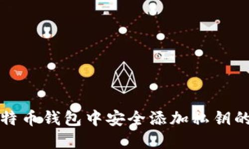 如何在比特币钱包中安全添加私钥的完整指南