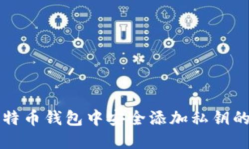 如何在比特币钱包中安全添加私钥的完整指南