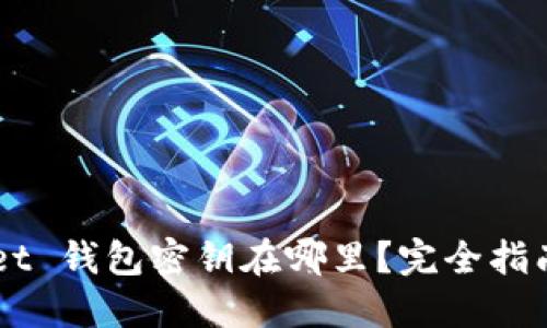 Token Pocket 钱包密钥在哪里？完全指南与安全建议