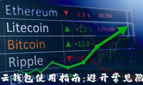 
比特币云钱包使用指南：避开常见陷阱与坑