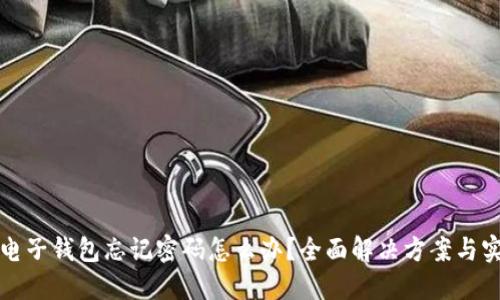 比特币电子钱包忘记密码怎么办？全面解决方案与实用技巧