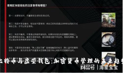 比特币与虚荣钱包：加密货币管理的未来趋势