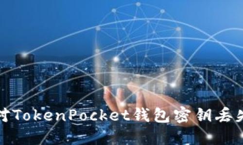 如何应对TokenPocket钱包密钥丢失的问题