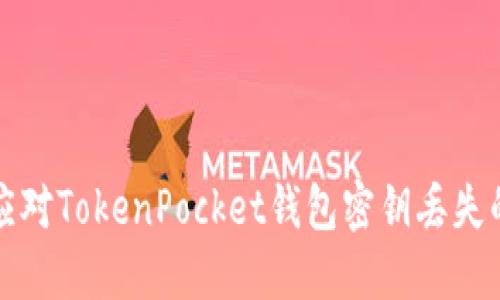 如何应对TokenPocket钱包密钥丢失的问题