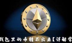为什么我的Token钱包里的币