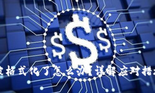 比特币钱包被格式化了怎么办？详解应对措施与恢复方法