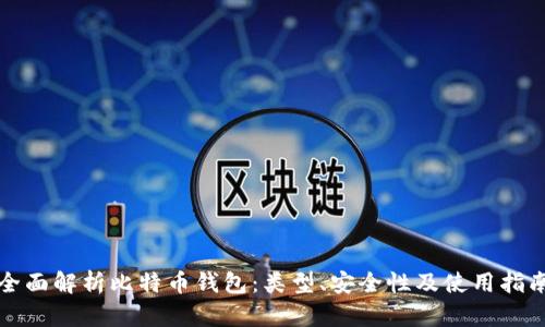 全面解析比特币钱包：类型、安全性及使用指南