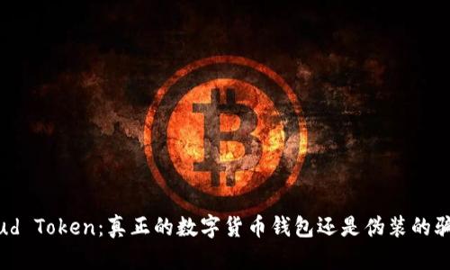 Cloud Token：真正的数字货币钱包还是伪装的骗局？
