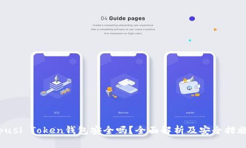 pusl Token钱包安全吗？全面解析及安全措施