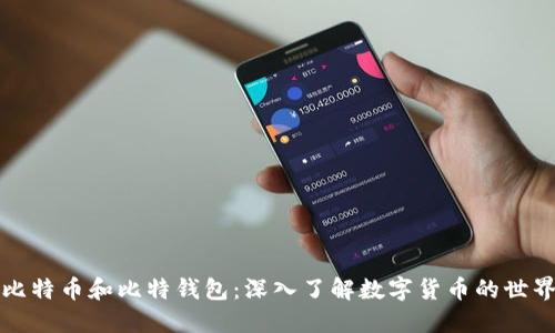 比特币和比特钱包：深入了解数字货币的世界