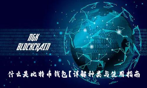 什么是比特币钱包？详解种类与使用指南