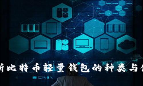全面解析比特币轻量钱包的种类与使用指南