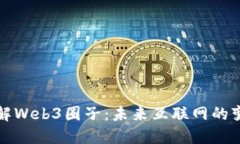 深入了解Web3圈子：未来互