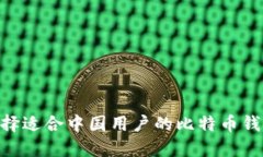 如何选择适合中国用户的