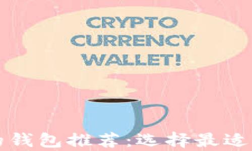 
比特币最安全的钱包推荐：选择最适合你的存储方案