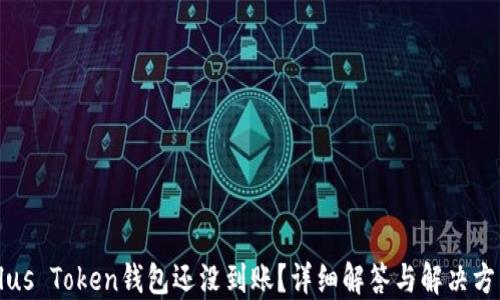 
Plus Token钱包还没到账？详细解答与解决方法