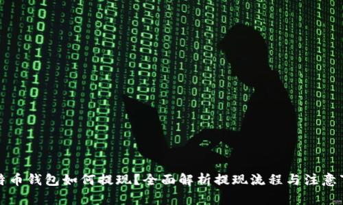 比特币钱包如何提现？全面解析提现流程与注意事项