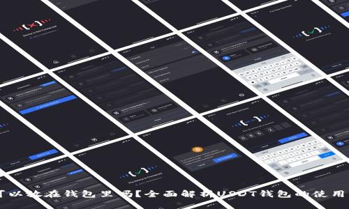 : USDT可以放在钱包里吗？全面解析USDT钱包的使用与安全性