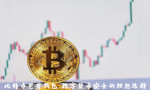
比特币芭蕾钱包：数字货币安全的理想选择