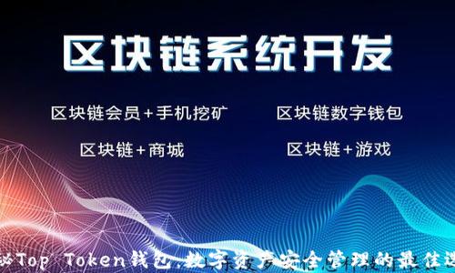 
揭秘Top Token钱包：数字资产安全管理的最佳选择