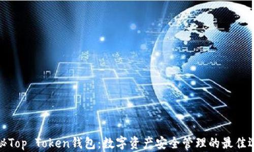 
揭秘Top Token钱包：数字资产安全管理的最佳选择