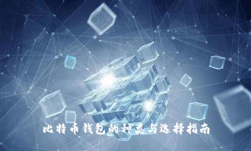 比特币钱包的种类与选择指南