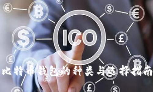比特币钱包的种类与选择指南