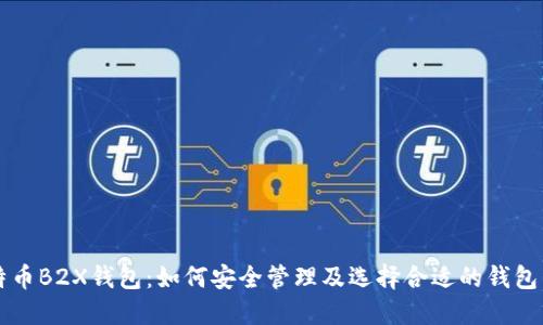 比特币B2X钱包：如何安全管理及选择合适的钱包类型