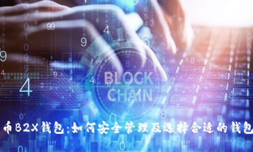 比特币B2X钱包：如何安全管理及选择合适的钱包类型