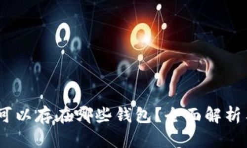 USDT可以存在哪些钱包？全面解析与推荐