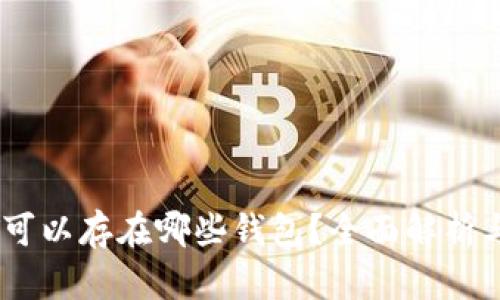 USDT可以存在哪些钱包？全面解析与推荐