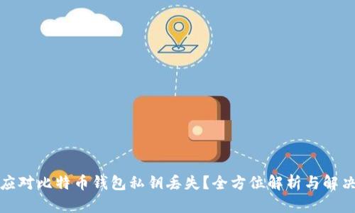 如何应对比特币钱包私钥丢失？全方位解析与解决方案