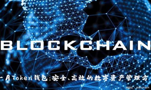 一月Token钱包：安全、高效的数字资产管理方案