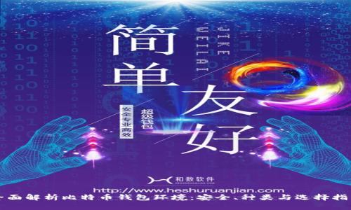 全面解析比特币钱包环境：安全、种类与选择指南