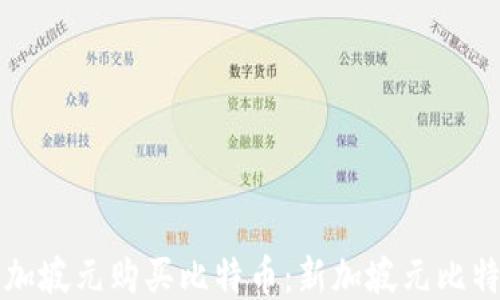 
如何使用新加坡元购买比特币：新加坡元比特币钱包指南