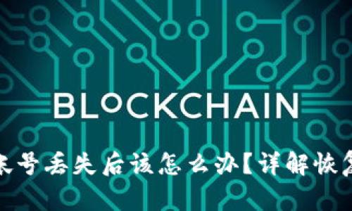 比特币钱包帐号丢失后该怎么办？详解恢复与防范措施