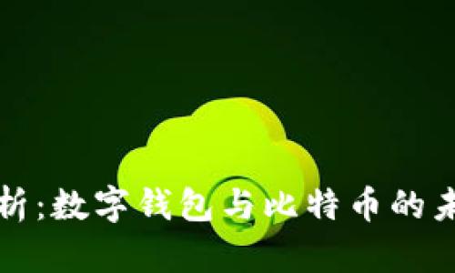 深度解析：数字钱包与比特币的未来发展