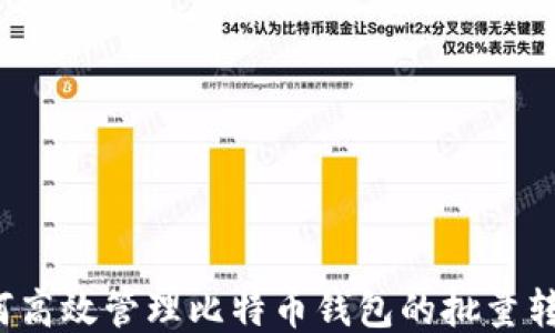 
如何高效管理比特币钱包的批量转账？