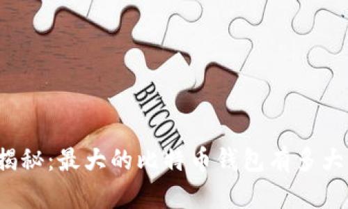 揭秘：最大的比特币钱包有多大？