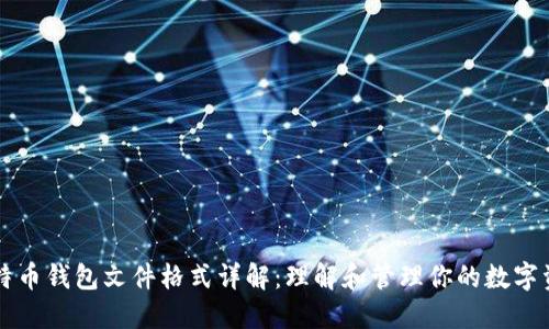 比特币钱包文件格式详解：理解和管理你的数字资产