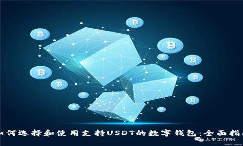 如何选择和使用支持USDT的数字钱包：全面指南