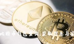 全面了解比特币钱包查询