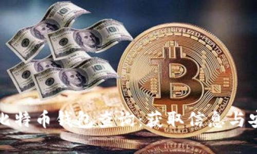 全面了解比特币钱包查询：获取信息与安全性分析