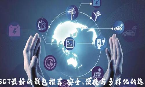 
USDT最好的钱包推荐：安全、便捷与多样化的选择