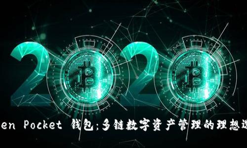 Token Pocket 钱包：多链数字资产管理的理想选择