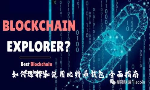 如何选择和使用比特币钱包：全面指南