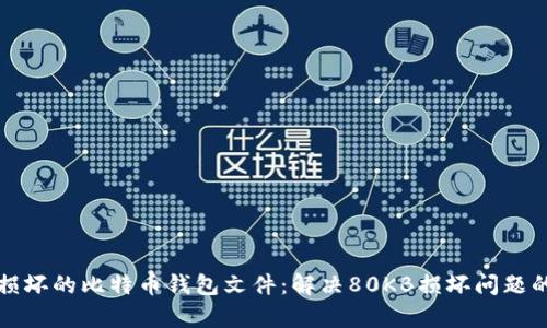 如何修复损坏的比特币钱包文件：解决80KB损坏问题的实用指南