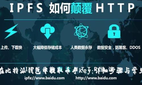 如何在比特派钱包中提取币乎Key：详细步骤与常见问题
